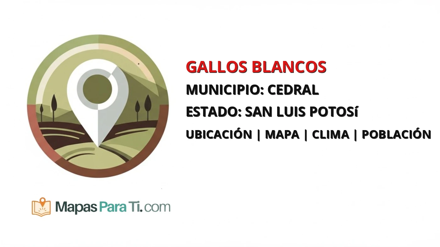 Mapa y datos de Gallos Blancos, Cedral, San Luis Potosí