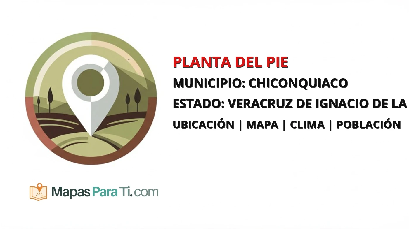 Mapa y datos de Planta del Pie, Chiconquiaco, Veracruz de Ignacio de la Llave